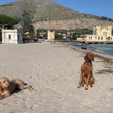 Due Cani Apartment Παλέρμο Εξωτερικό φωτογραφία